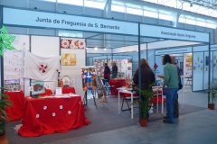 p1120097.jpg